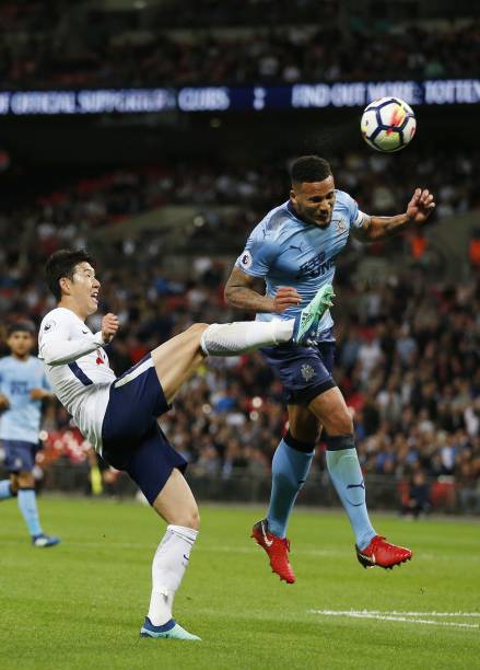 的生命力 的生命力